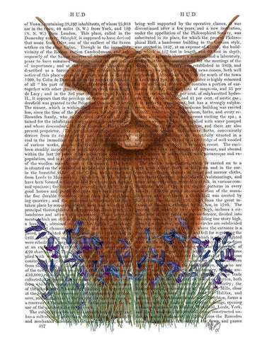 Highland Cow, Bluebell Book Print White Modern Wood Framed Art Print with Double Matting by Fab Funky