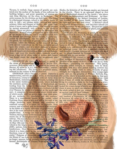 Cow Cream, Bluebells Book Print White Modern Wood Framed Art Print with Double Matting by Fab Funky