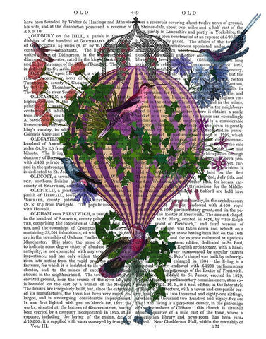 Bird Balloon 1 Book Print White Modern Wood Framed Art Print with Double Matting by Fab Funky
