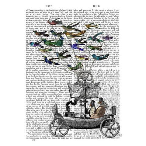 Bird Boat Book Print Gold Ornate Wood Framed Art Print with Double Matting by Fab Funky