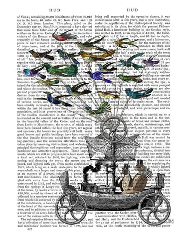 Bird Boat Book Print Black Ornate Wood Framed Art Print with Double Matting by Fab Funky