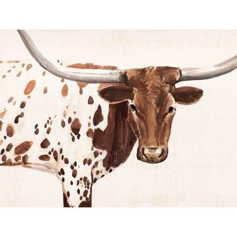 Spotted Steer I Black Modern Wood Framed Art Print by Warren, Annie