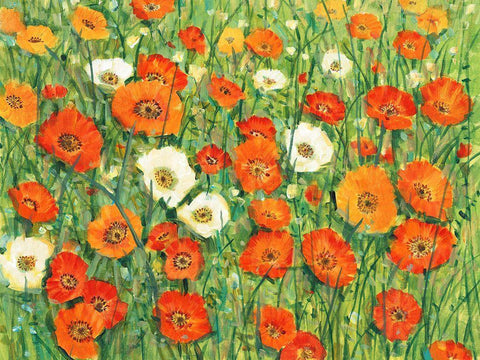 Poppy Meadow I White Modern Wood Framed Art Print with Double Matting by OToole, Tim