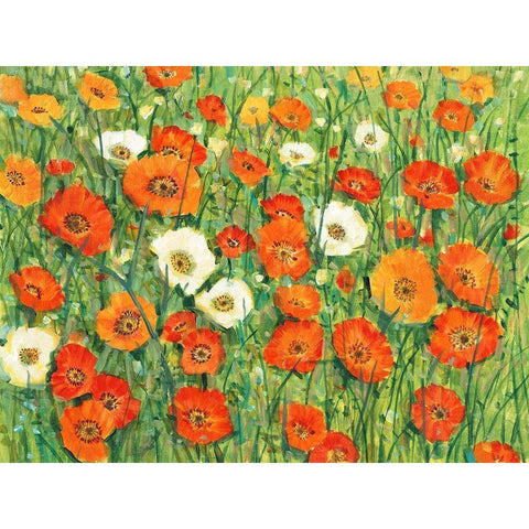 Poppy Meadow I Black Modern Wood Framed Art Print with Double Matting by OToole, Tim