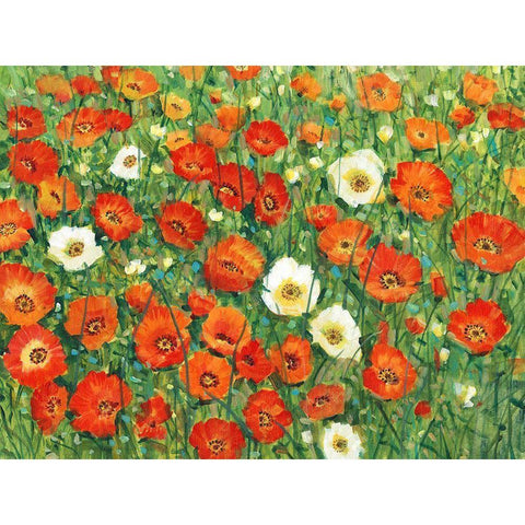Poppy Meadow II Black Modern Wood Framed Art Print with Double Matting by OToole, Tim