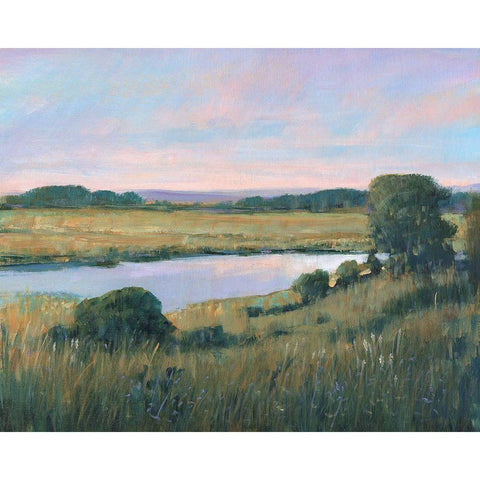 Spring Marsh II Gold Ornate Wood Framed Art Print with Double Matting by OToole, Tim