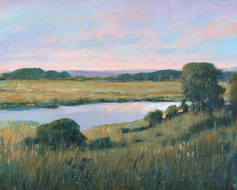 Spring Marsh II White Modern Wood Framed Art Print with Double Matting by OToole, Tim
