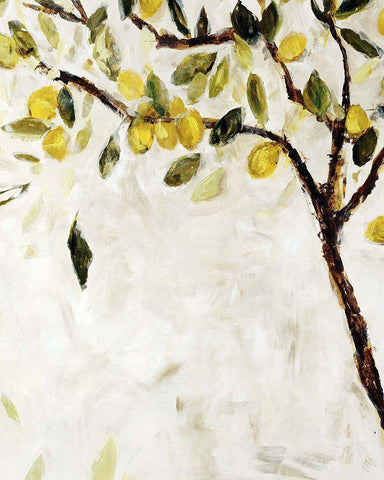 Meyer Lemon Tree White Modern Wood Framed Art Print with Double Matting by Maas, Jodi