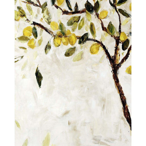 Meyer Lemon Tree Gold Ornate Wood Framed Art Print with Double Matting by Maas, Jodi