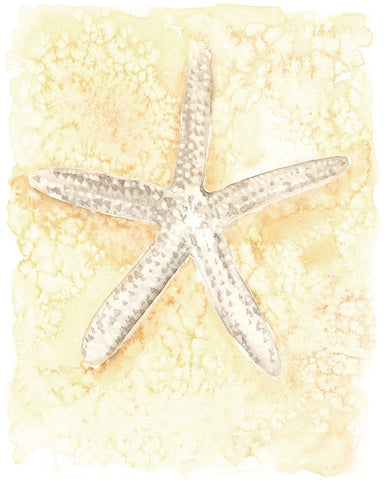 Salty Seashell I Black Ornate Wood Framed Art Print with Double Matting by Warren, Annie