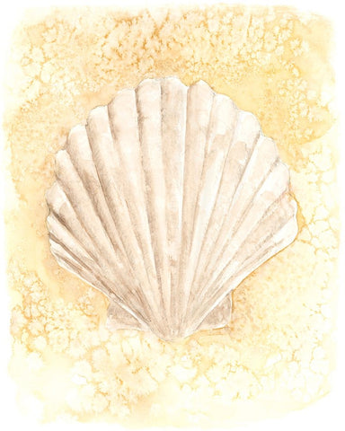 Salty Seashell II Black Ornate Wood Framed Art Print with Double Matting by Warren, Annie