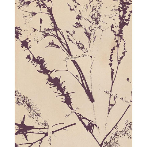 Pressed Silhouette I Black Modern Wood Framed Art Print by Warren, Annie