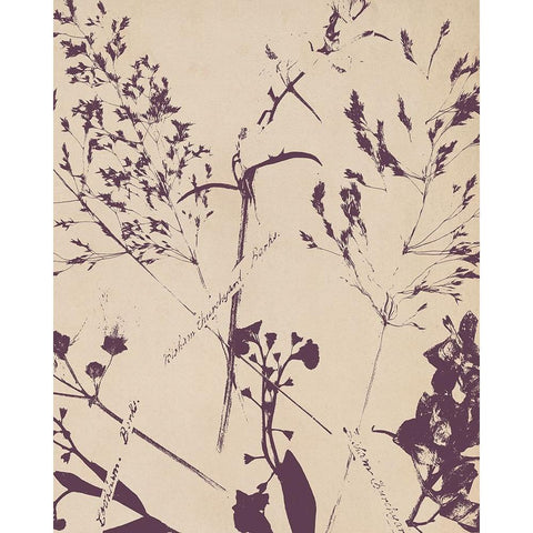 Pressed Silhouette II Black Modern Wood Framed Art Print by Warren, Annie