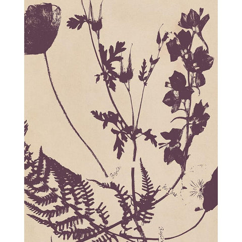 Pressed Silhouette III White Modern Wood Framed Art Print by Warren, Annie