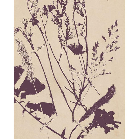 Pressed Silhouette IV Gold Ornate Wood Framed Art Print with Double Matting by Warren, Annie