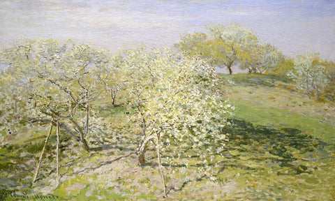 Fruit Trees in Bloom White Modern Wood Framed Art Print with Double Matting by Monet, Claude