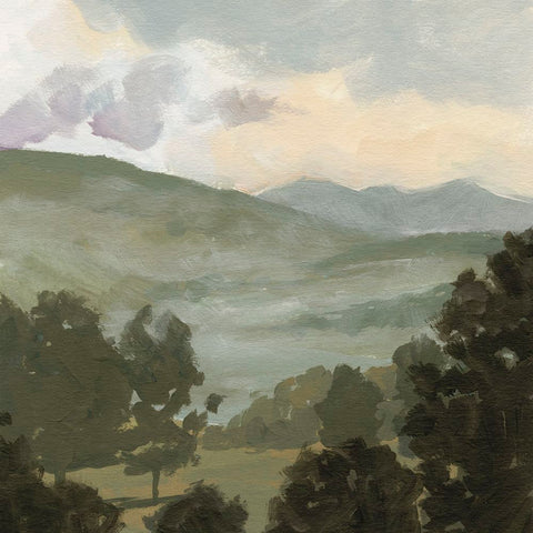 Valley Through the Trees I White Modern Wood Framed Art Print with Double Matting by Barnes, Victoria