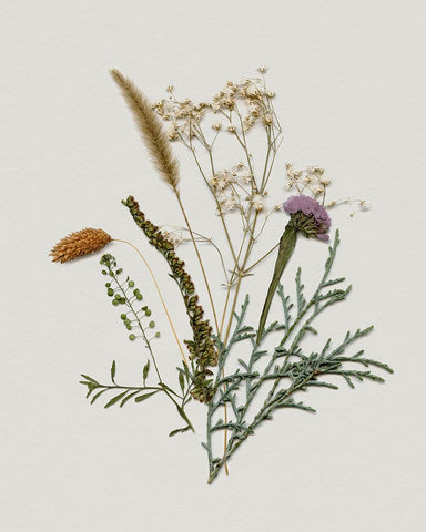 Pressed Autumn Blooms II Black Ornate Wood Framed Art Print with Double Matting by Barnes, Victoria