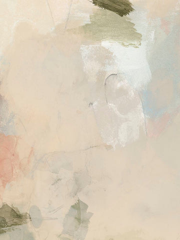 Muted Pastel III Black Ornate Wood Framed Art Print with Double Matting by Barnes, Victoria