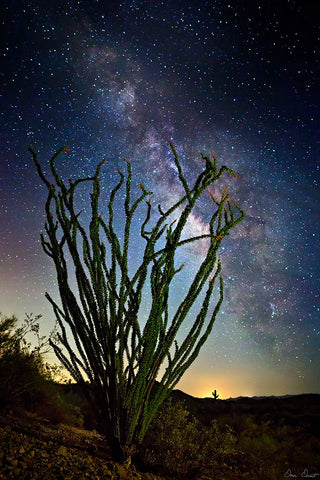 Desert Lights II Black Modern Wood Framed Art Print by Drost, David