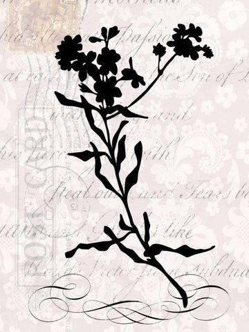 Small Postscript I Black Ornate Wood Framed Art Print with Double Matting by Vision Studio