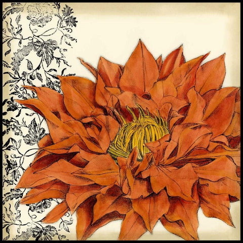 Botanica III Black Ornate Wood Framed Art Print with Double Matting by Goldberger, Jennifer