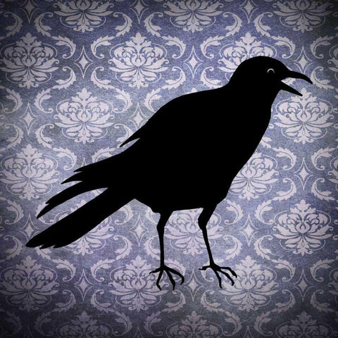 Crow and Damask Black Ornate Wood Framed Art Print with Double Matting by Vision Studio