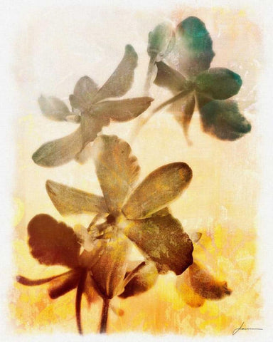 Brocade Garden III White Modern Wood Framed Art Print with Double Matting by Burghardt, James