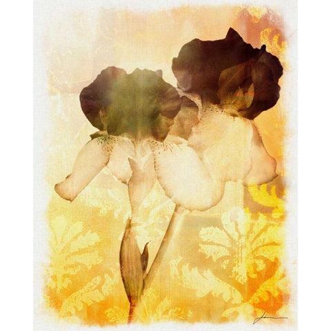 Brocade Garden IV Gold Ornate Wood Framed Art Print with Double Matting by Burghardt, James