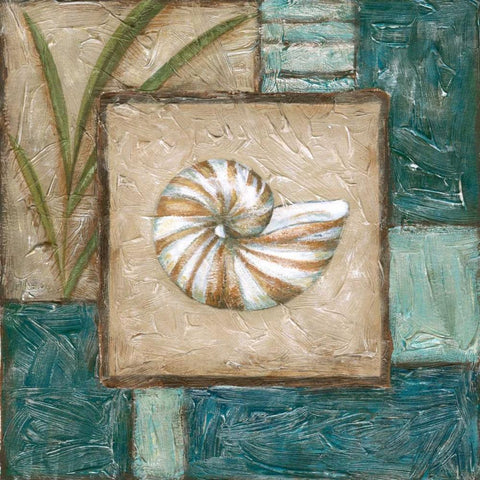 Large Shell Montage I Black Modern Wood Framed Art Print by Zarris, Chariklia