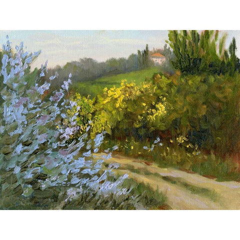 Rosemary by the Road White Modern Wood Framed Art Print by Weber, Mary Jean