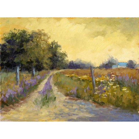 Falls Golden Fields White Modern Wood Framed Art Print by Weber, Mary Jean