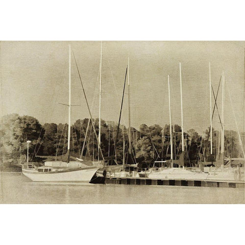 Waiting to Sail II White Modern Wood Framed Art Print by Head, Danny