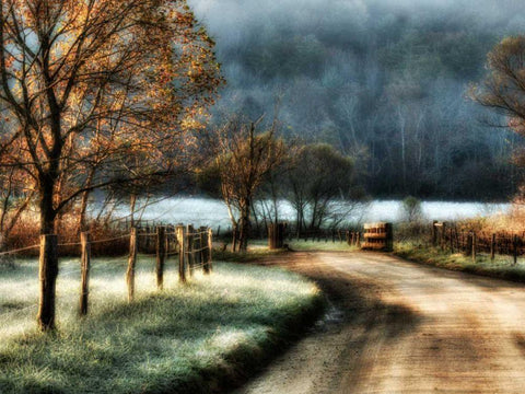 Morning Frost White Modern Wood Framed Art Print with Double Matting by Head, Danny