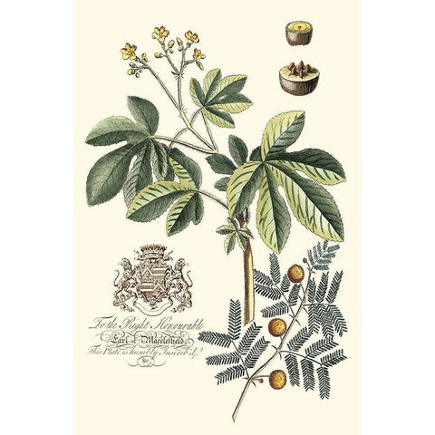 Imperial Foliage I Gold Ornate Wood Framed Art Print with Double Matting by Vision Studio