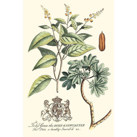 Imperial Foliage IV Gold Ornate Wood Framed Art Print with Double Matting by Vision Studio