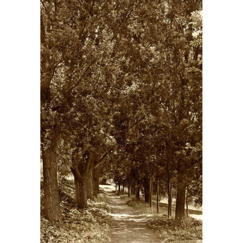 Road to Giverny Black Modern Wood Framed Art Print by Perry, Rachel