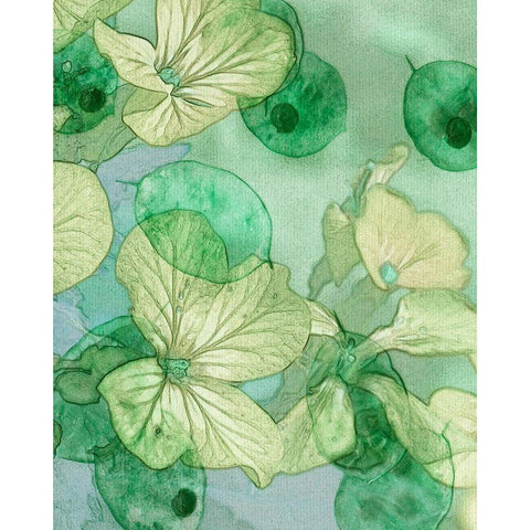 Mint Progeny III Black Modern Wood Framed Art Print with Double Matting by Chandler, Sharon