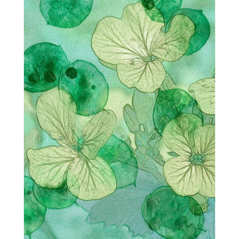 Mint Progeny IV Black Modern Wood Framed Art Print with Double Matting by Chandler, Sharon