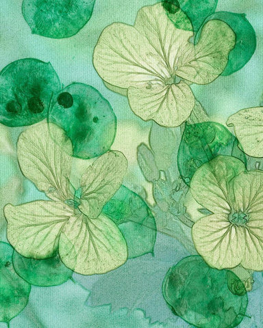 Mint Progeny IV White Modern Wood Framed Art Print with Double Matting by Chandler, Sharon