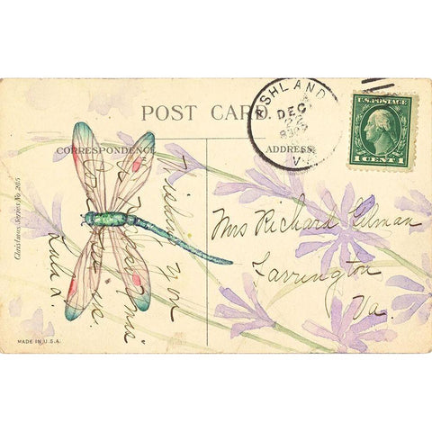 Postcard Dragonfly III White Modern Wood Framed Art Print by Pallan, Nancy S.