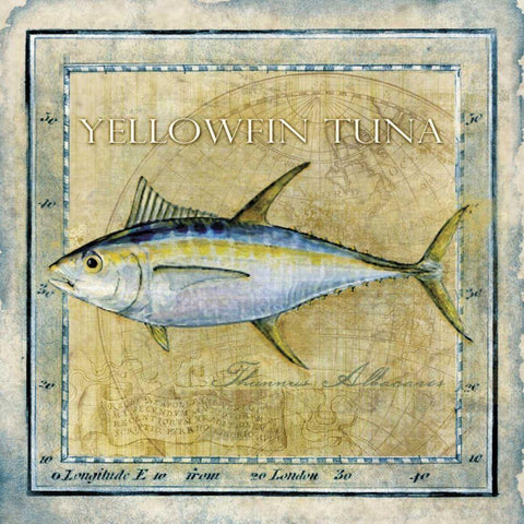 Ocean Fish XII Gold Ornate Wood Framed Art Print with Double Matting by Beth Anne Creative