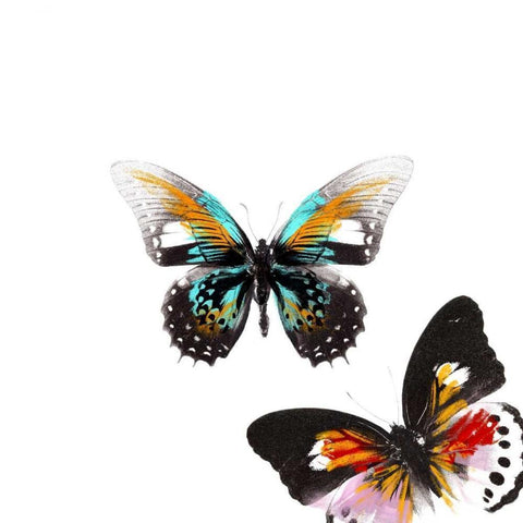 Butterflies Dance VI White Modern Wood Framed Art Print by Project, A.