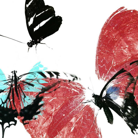 Butterflies Dance VIII Black Ornate Wood Framed Art Print with Double Matting by Project, A.