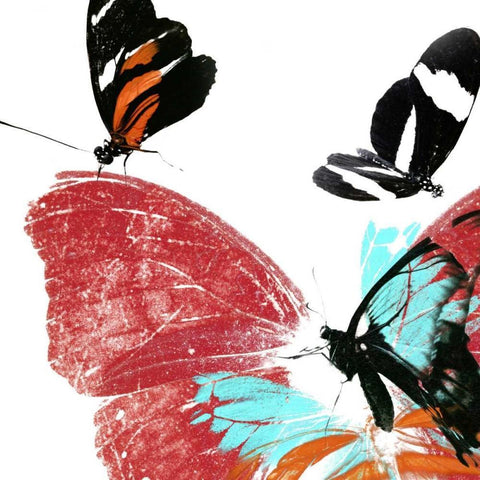 Butterflies Dance IX White Modern Wood Framed Art Print with Double Matting by Project, A.