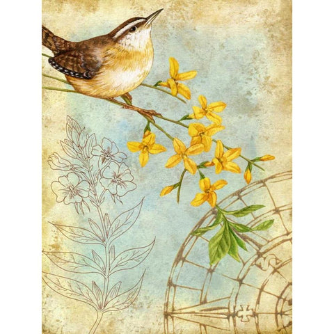 Songbird Sketchbook I Gold Ornate Wood Framed Art Print with Double Matting by Maday, Jane