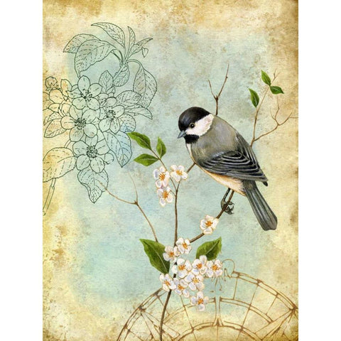 Songbird Sketchbook II Black Modern Wood Framed Art Print with Double Matting by Maday, Jane