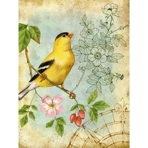 Songbird Sketchbook III Black Modern Wood Framed Art Print with Double Matting by Maday, Jane