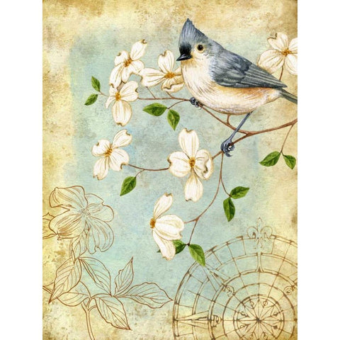 Songbird Sketchbook IV White Modern Wood Framed Art Print by Maday, Jane