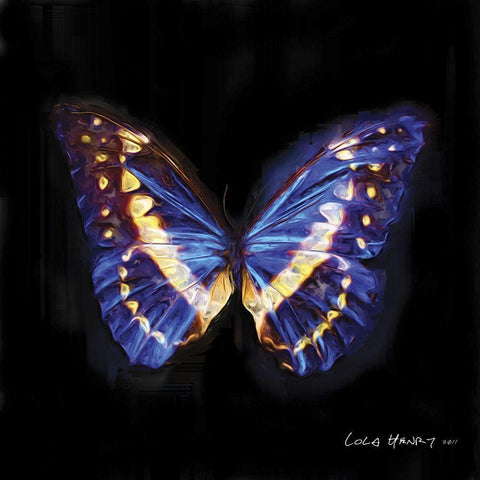 Techno Butterfly II White Modern Wood Framed Art Print with Double Matting by Henry, Lola